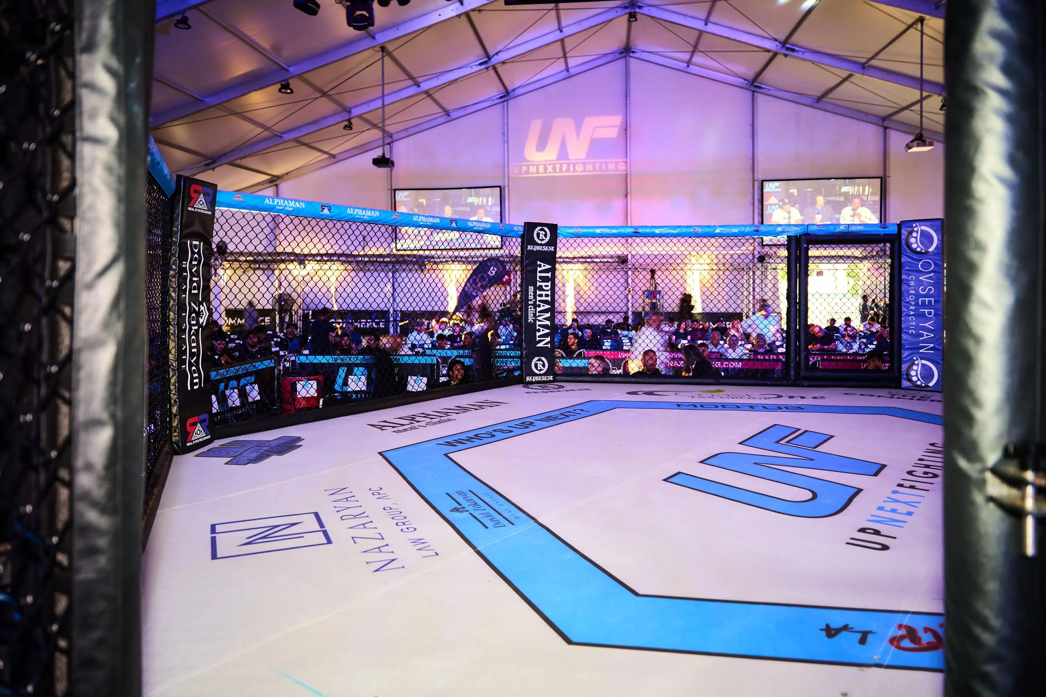 UpNextFighting
